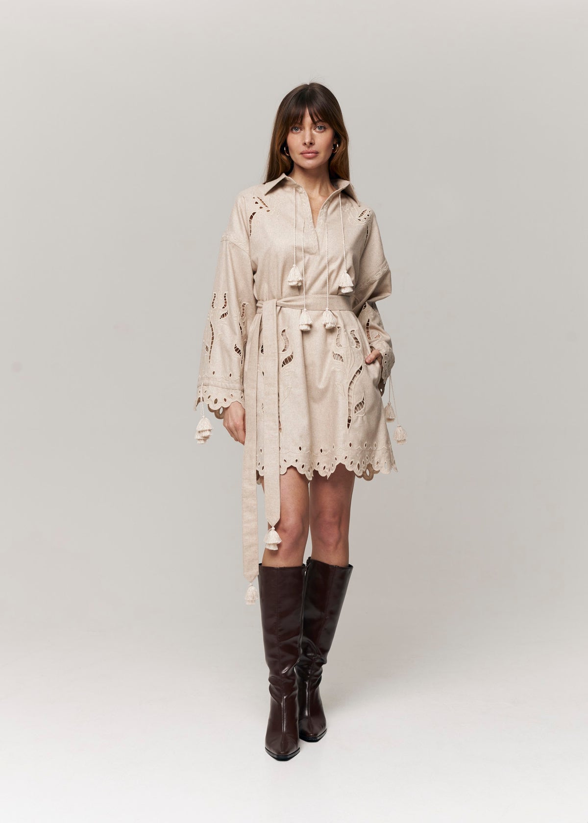 Winter Rose Eyelet Embroidered Mini Dress – Ivory