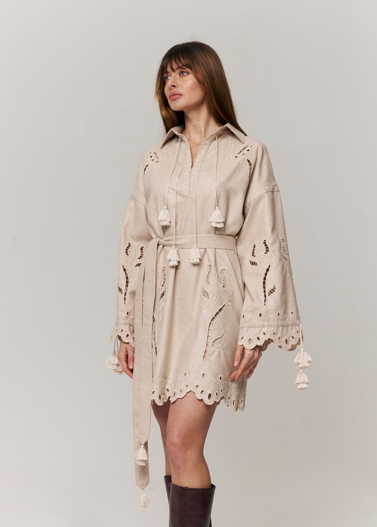 Winter Rose Eyelet Embroidered Mini Dress — Ivory