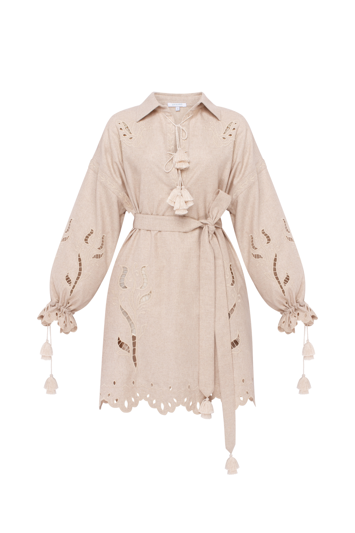 Winter Rose embroidered mini dress in Ivory