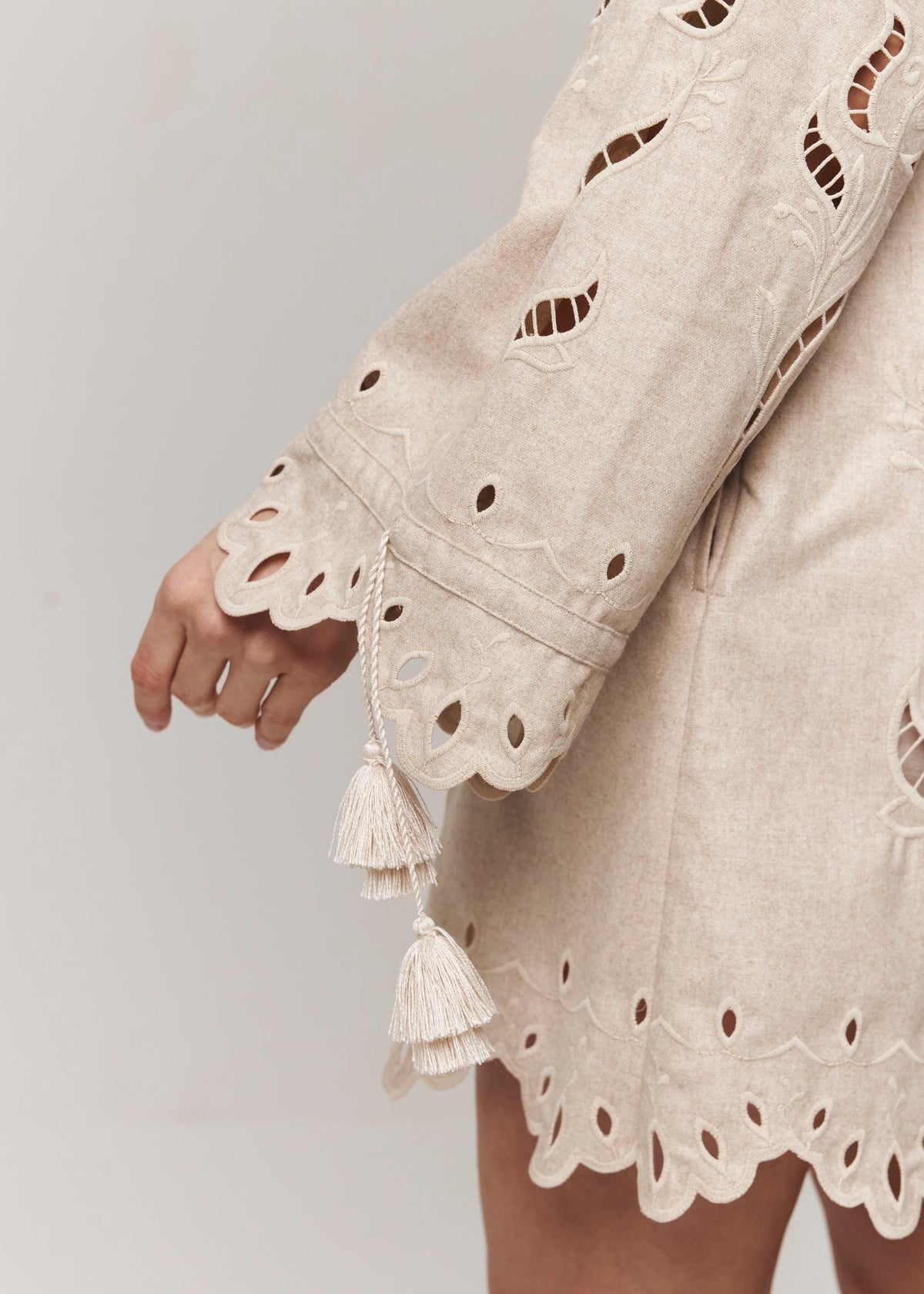 Winter Rose Eyelet Embroidered Mini Dress — Ivory