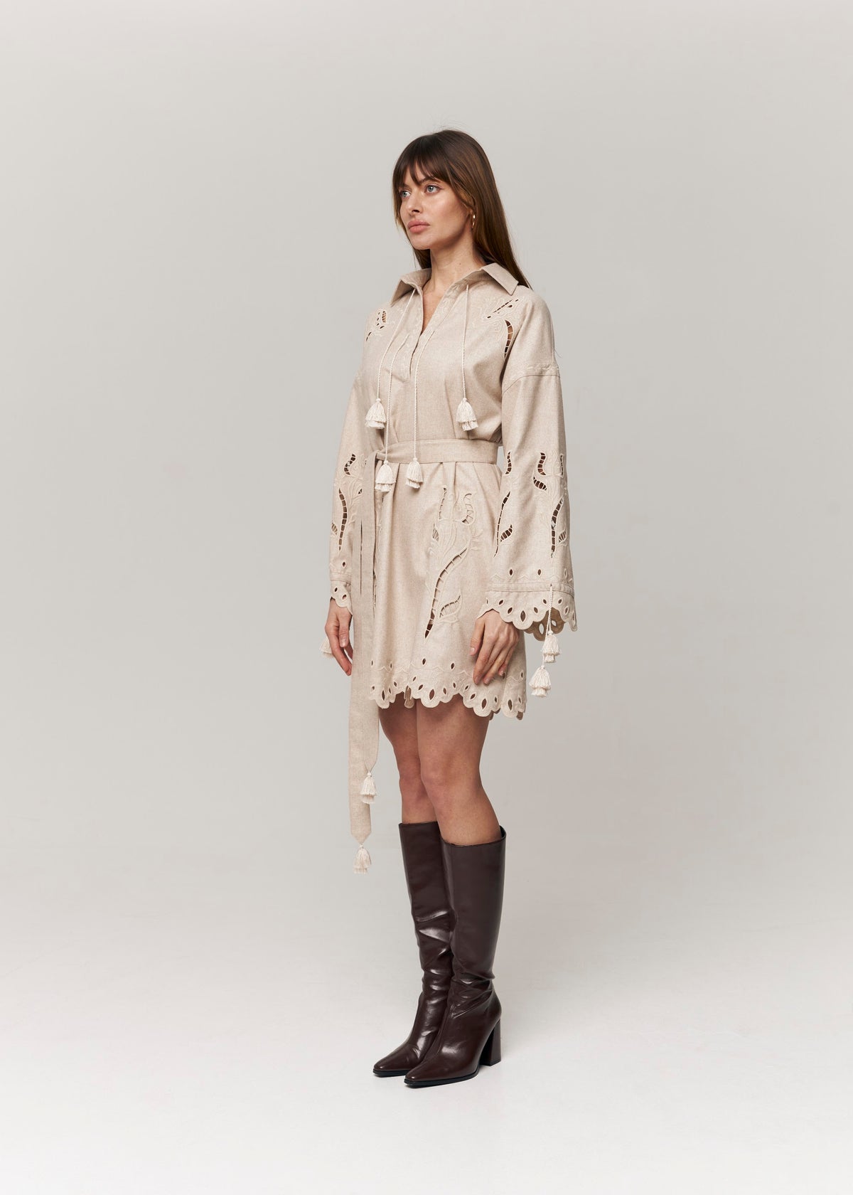 Winter Rose Eyelet Embroidered Mini Dress — Ivory