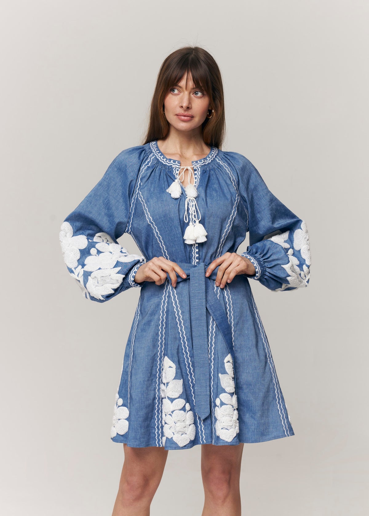 Harvest Sun Floral Embroidered Mini Dress