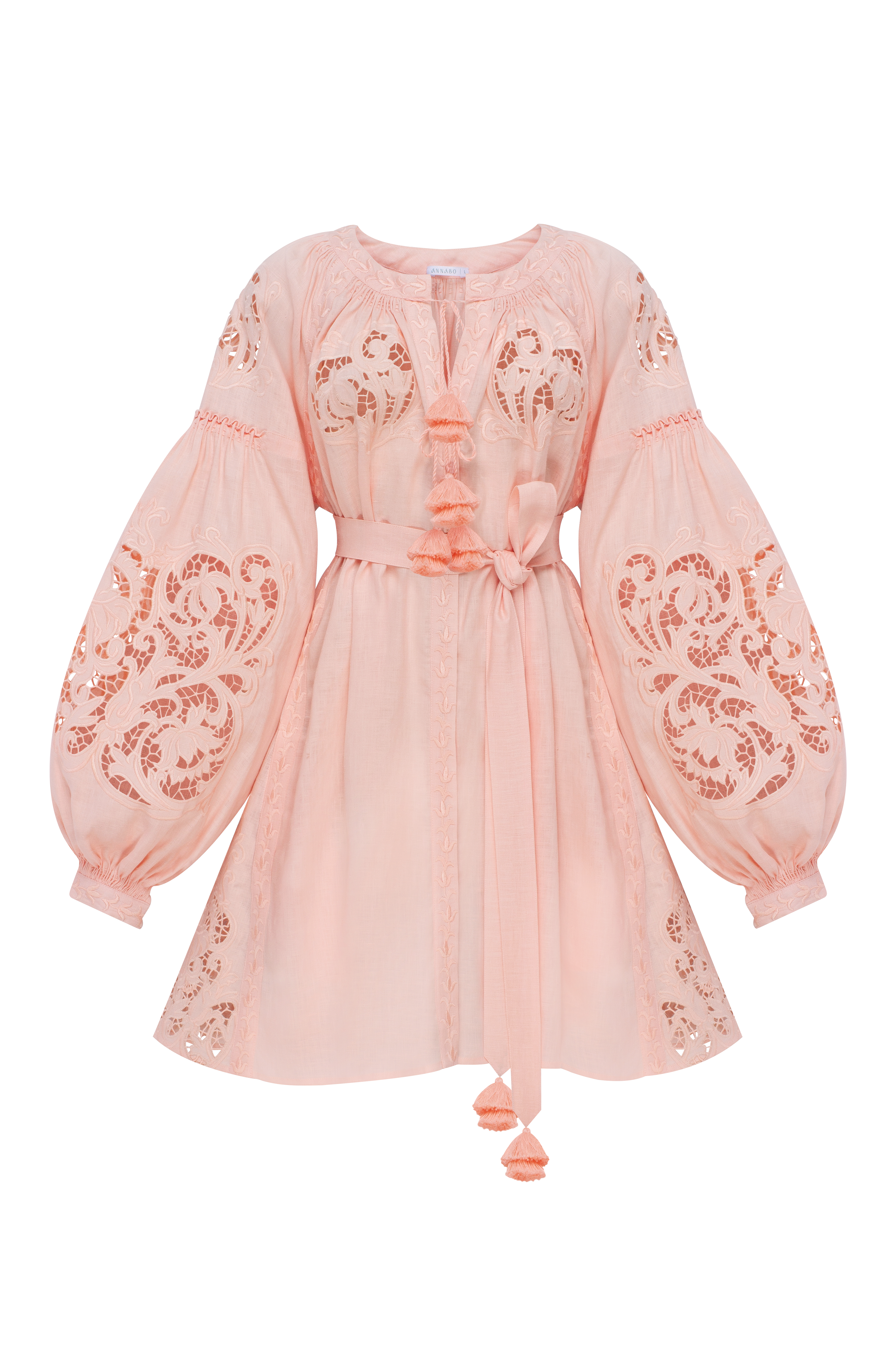 Lily Richelieu Mini Dress