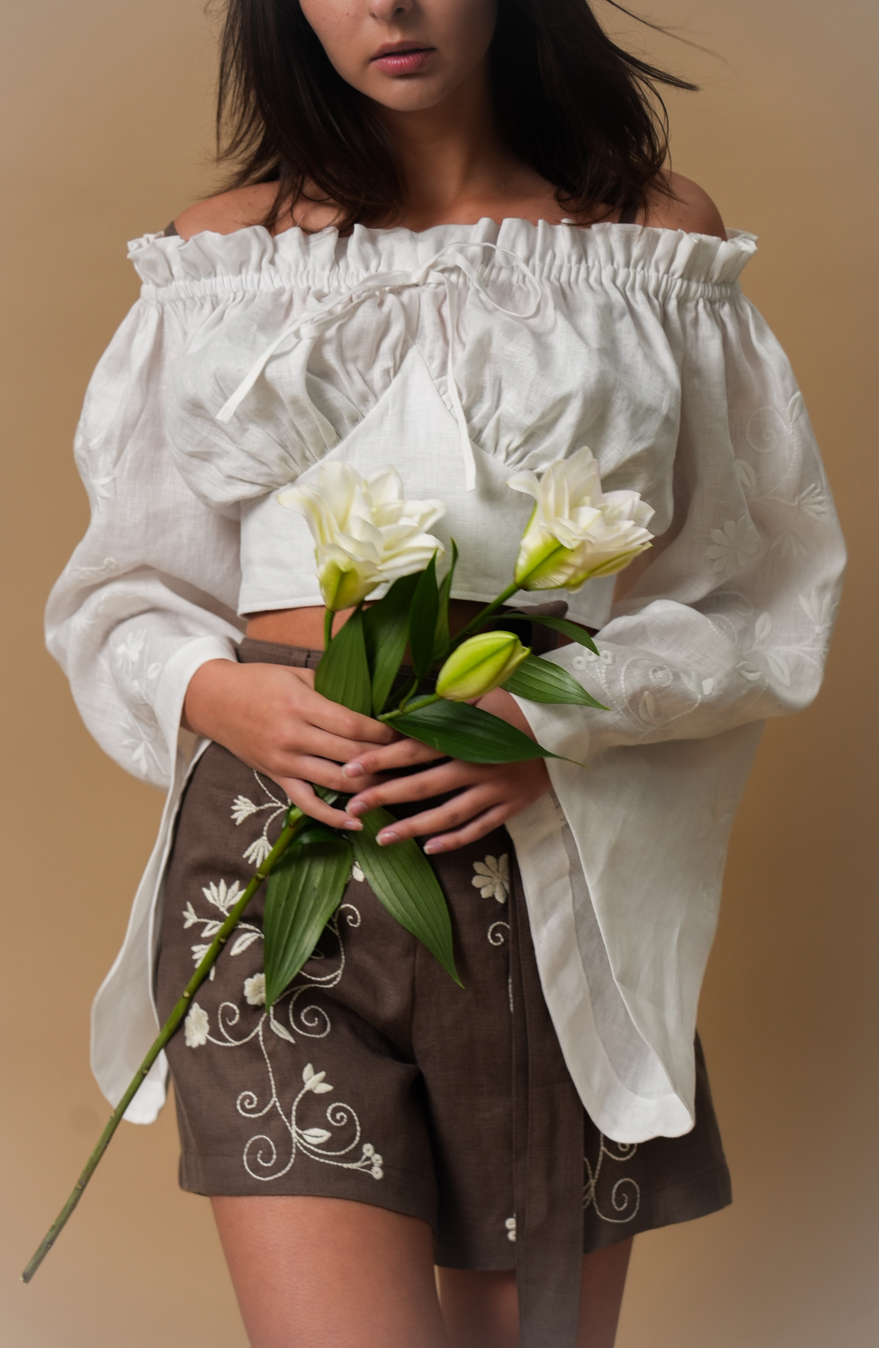 Spring Mirage Off-the-Shoulder Crop Blouse